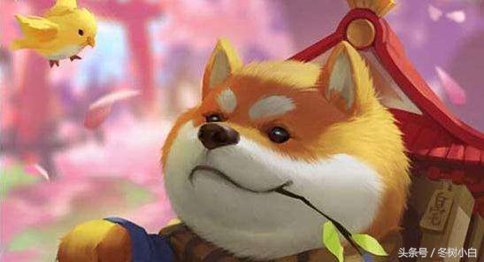 阴阳师犬神体验服被削,阴阳师犬神和无惨