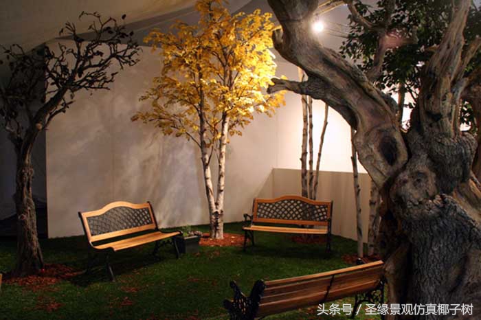 俄罗斯白桦树主要分布在哪里,白桦树俄罗斯酒