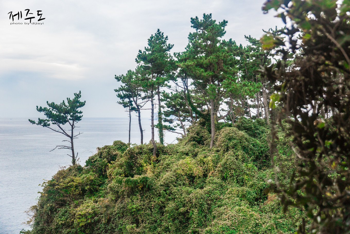 济州岛吃喝玩乐,济州岛旅游攻略必去景点推荐