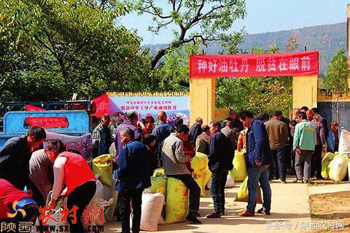 临潼区农林局发展都市生态农业助力精准扶贫