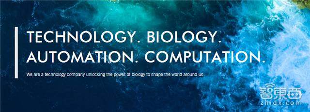 cbinsights统计初创公司失败原因,cbinsights行情