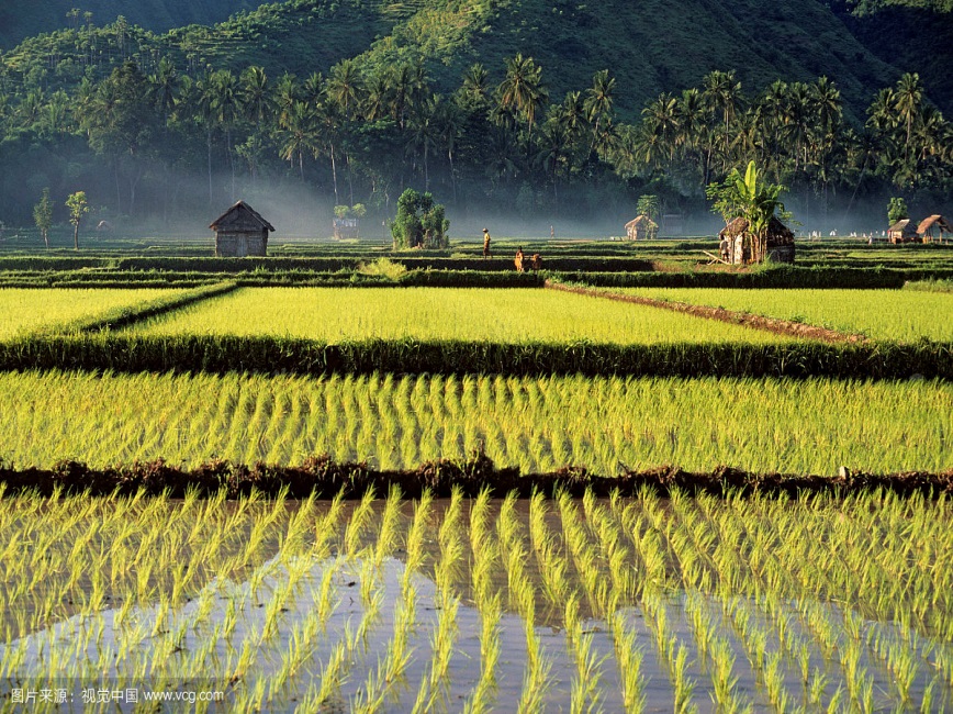 陕西观音菩萨肉身,陕西唯一肉身菩萨