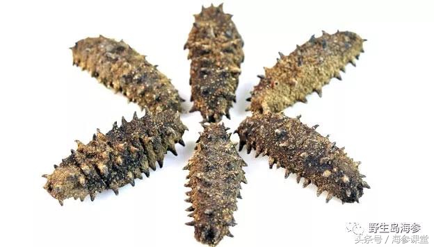 海参怎么杀掉,发干海参最好方法是什么