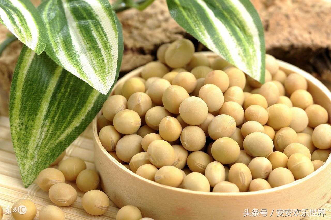 感冒发烧中草药偏方大全,张仲景伤寒论治感冒发烧处方