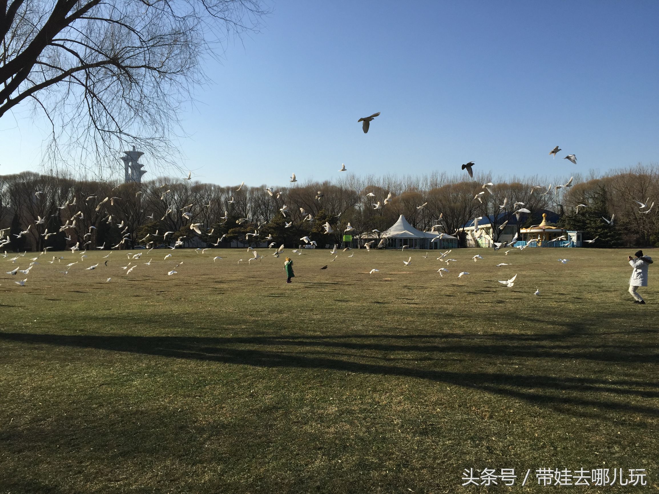 奥森附近小动物乐园,奥森公园世外桃源