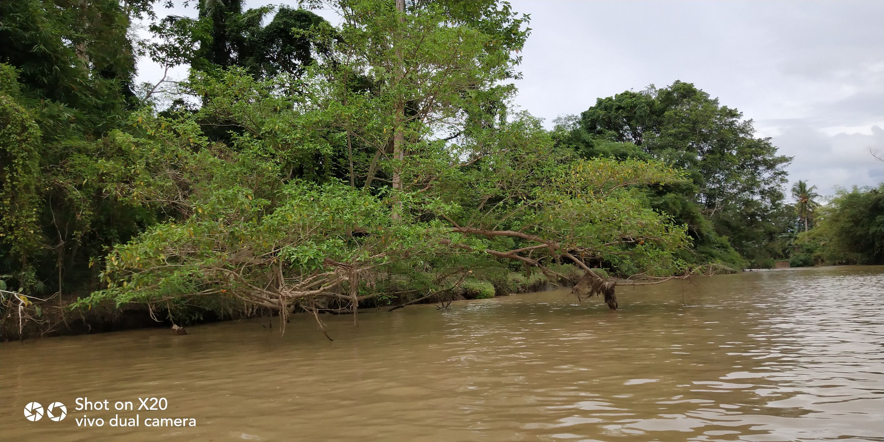 带着vivo x20去旅游 (vivox20plus沙巴之旅)