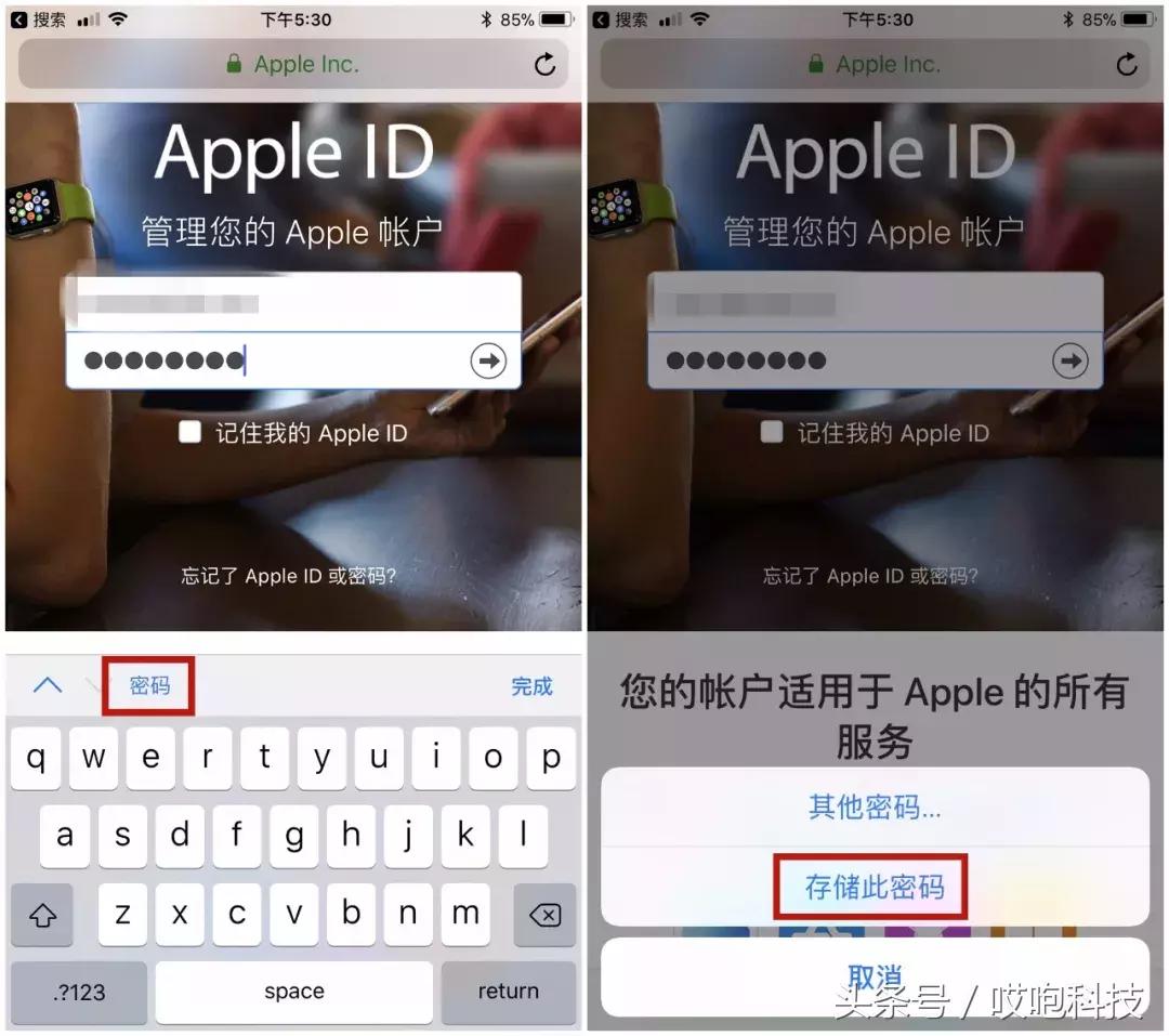 appleid账号忘了怎么办记得密码,appleidpassword