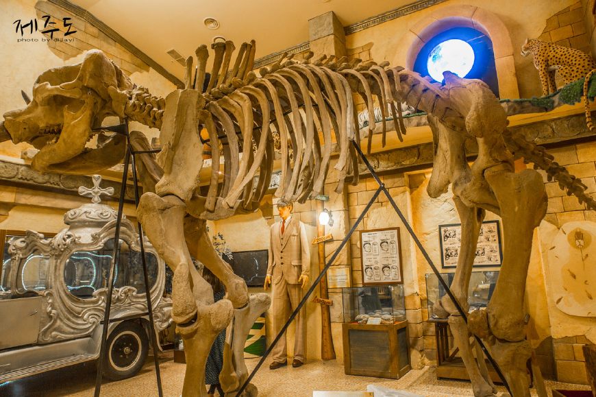 济州岛哪些地方不值得去,济州岛最值得去的景点是