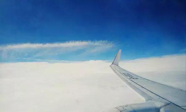 去厦门旅游怎么玩最好,去厦门该怎么玩