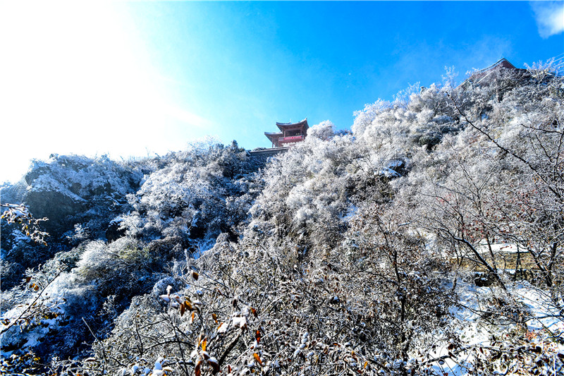 冰情雪趣绘画,冰情雪趣创意画