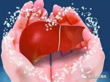 现代药理学表明杜仲具有三降「血压、血糖、血脂」、四抗、五护！