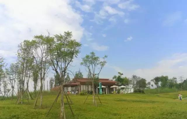 冬天成都两天来回得哪里去玩,成都3-5天短途旅游推荐