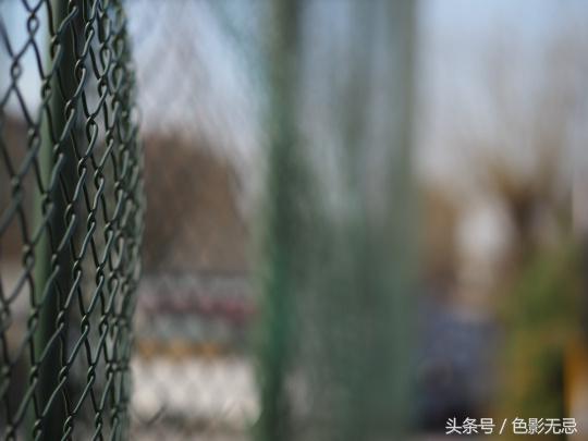 濂ユ灄宸存柉45mmf1.2pro娴嬭瘎,濂ユ灄宸存柉25mmf1.2pro璇勬祴