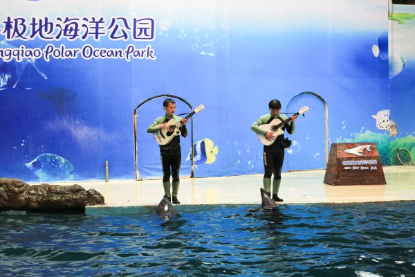 杭州极地海洋公园占地面积,杭州极地海洋公园什么时候建成