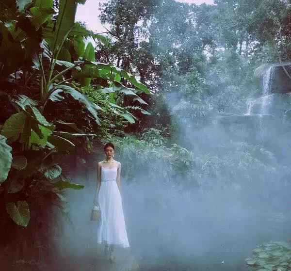 去厦门旅游怎么玩最好,去厦门该怎么玩