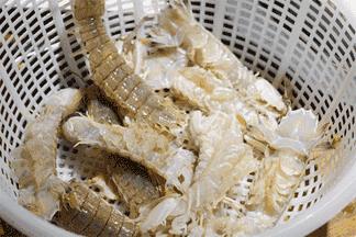 35个网络流行英语热词缩写,英语潮词2017