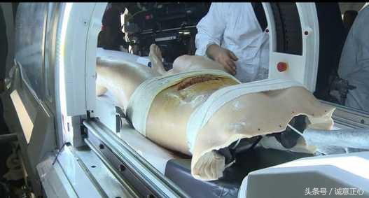 有哪些电影需要特效,盘点电影中的特效