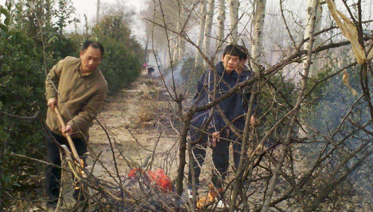 多多果园虫子怎么除掉,常见几种虫子的防治