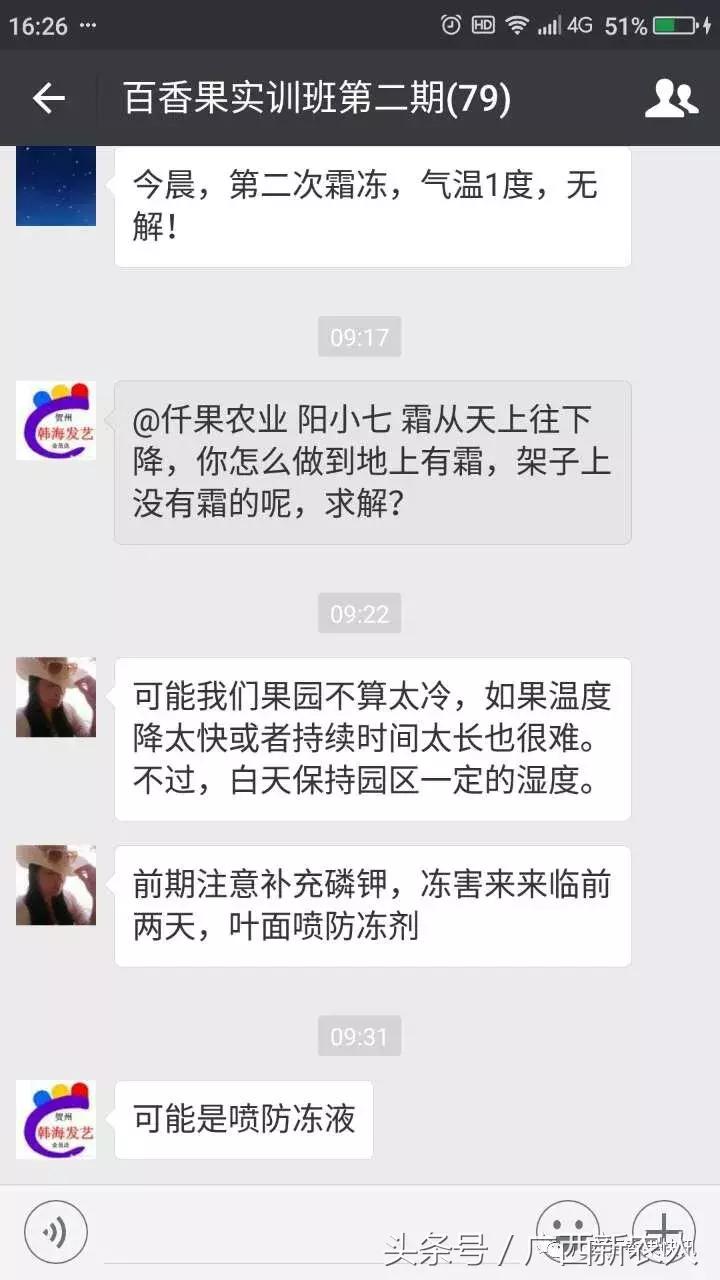 百香果怕霜冻吗,百香果如何对付霜冻天气