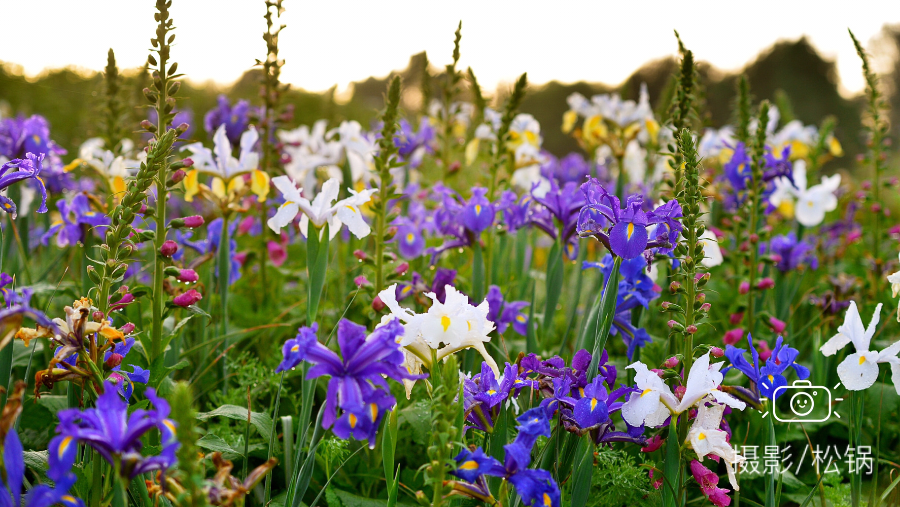 石象湖两日游攻略,石象湖附近有什么好耍的地方