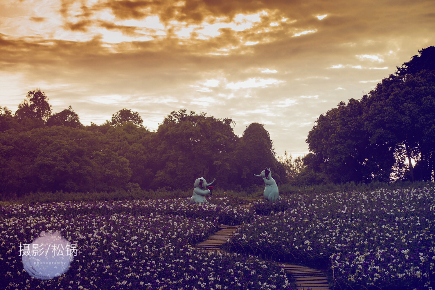 石象湖两日游攻略,石象湖附近有什么好耍的地方