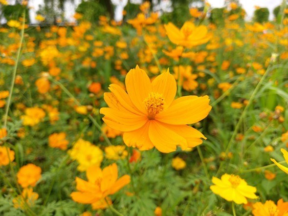 htc10区分各版本,htc10的屏幕很好吗