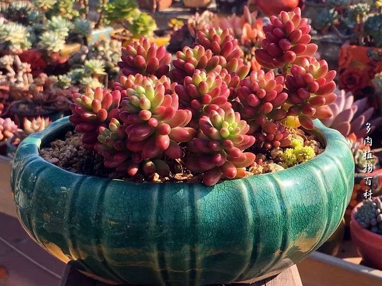 视觉盛宴美不胜收美图,视觉盛宴每个画面都美极了