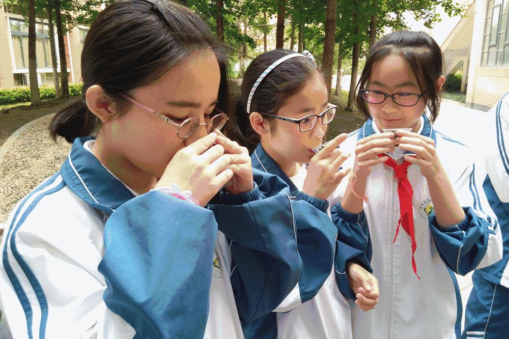 杭州儿童喜爱的活动方案,丰富多彩的社团活动吸引着孩子们