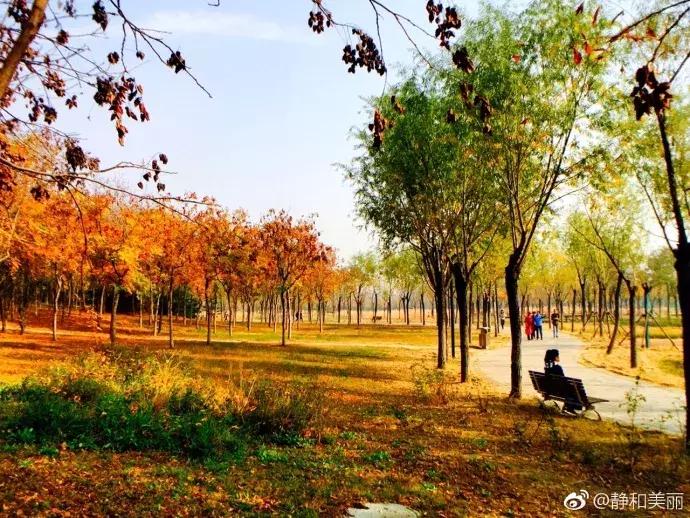 天津一日游必去的十个景点介绍,天津旅游必去十大景点1日游攻略