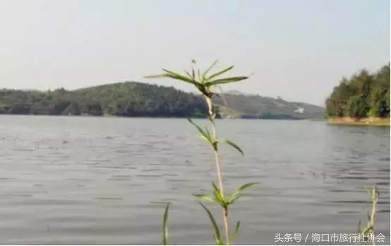 澄迈老城海边风景,海南澄迈风景好的地方