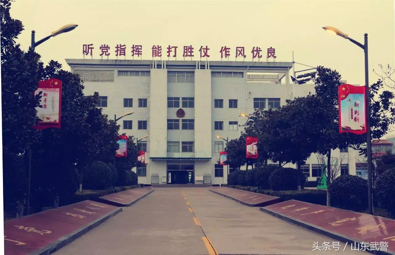 他们用破译的这三组数字密码，成功打开了基层*党**组织建设的新大门