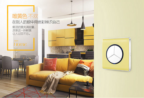 微电脑遥控墙壁开关哪个牌子好,墙壁开关插座哪个牌子好