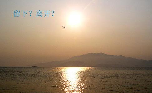 去北上广深打拼,北上广深的选择