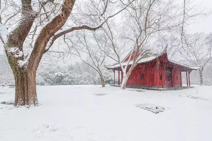 10首经典诗词,十一首情诗