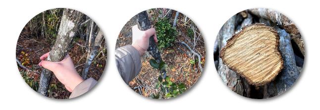 百炼成钢征程漫漫,百炼成钢一骑绝尘