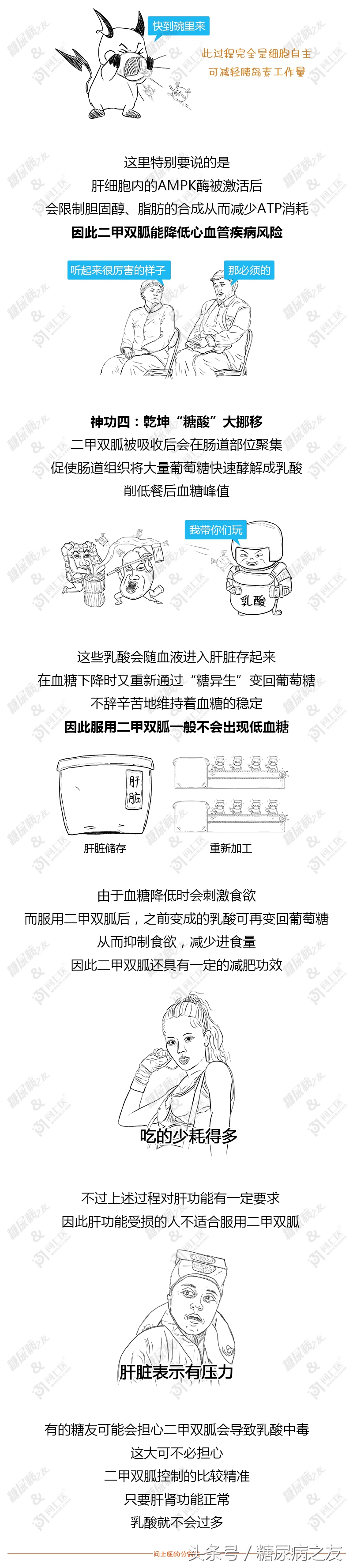 二甲双胍控糖药效多久,二甲双胍控制血糖效果