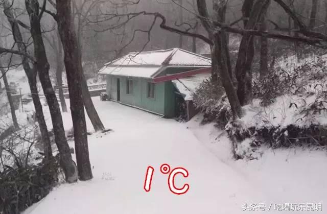 这两天德宏拽伤了，和全世界对话都是：我20度！