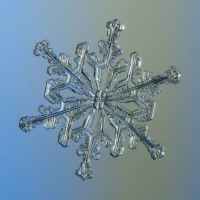 历时8年用微距镜头拍摄的雪花,超级微距拍摄雪花