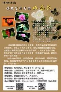 深圳本周有什么活动,最近深圳周末有什么活动吗