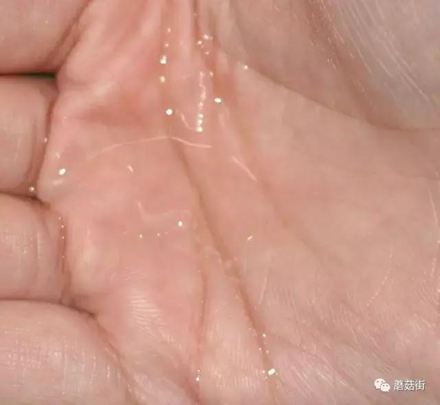 十大好用护肤水,十大公认最好的护肤水