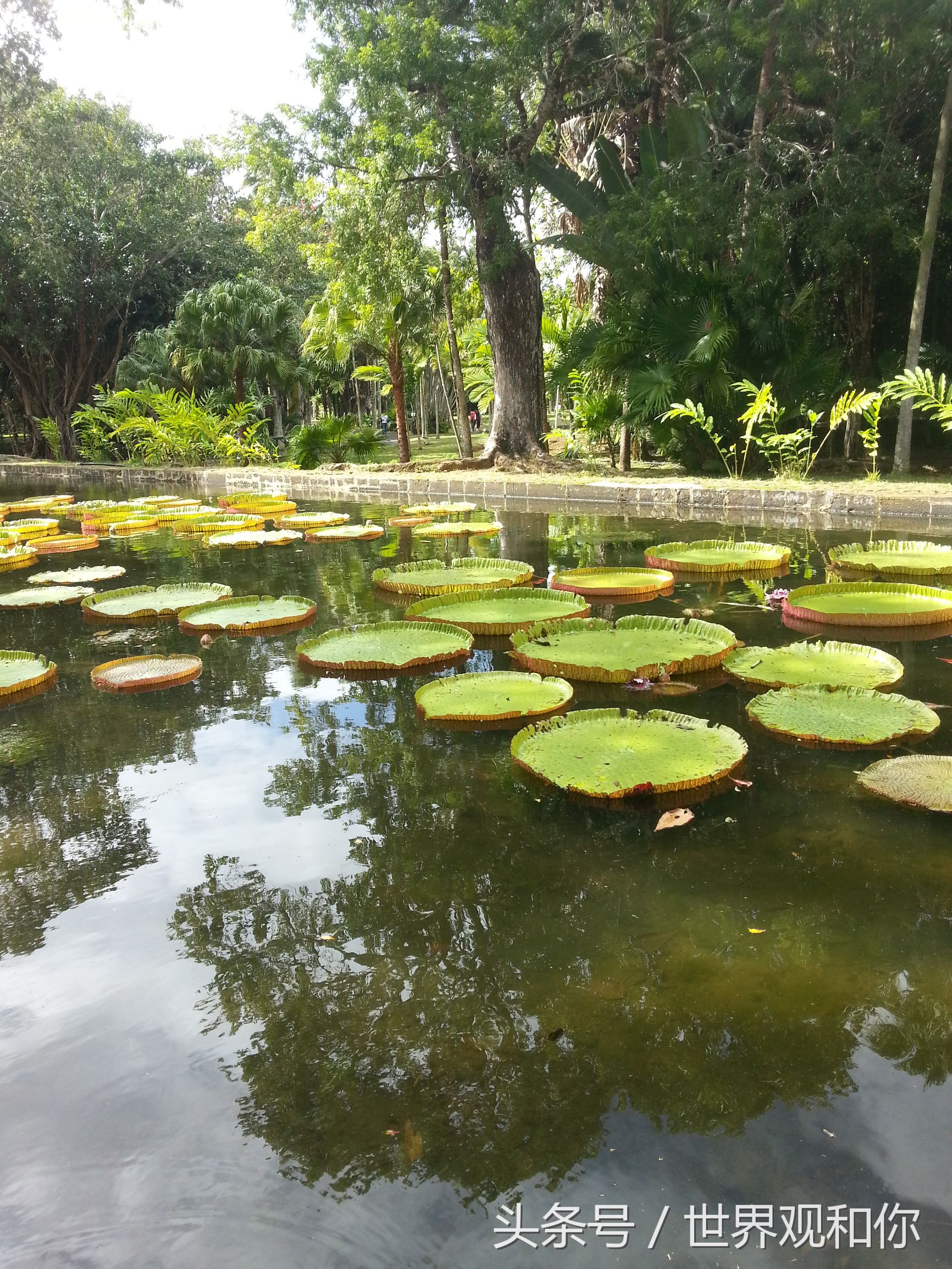 旅行毛里求斯,毛里求斯5天4夜游记