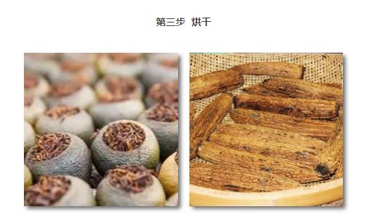 一根苦瓜茶的故事：看到最后忍不住想“暴打”习茶君