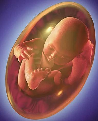 脐带绕颈两周顺产还是剖腹产安全,32周脐带绕颈两周头位