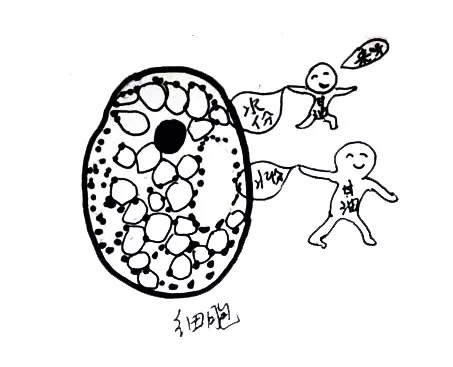产妇便秘用开塞露有副作用吗,便秘蜂蜜露和开塞露哪个副作用小