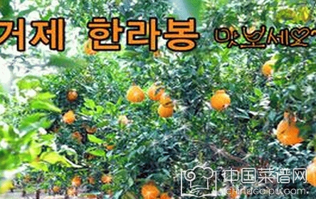 容易染色的食物有哪些,染色食物有哪些危害