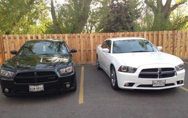 为啥买车都要推荐白色呢,买车不要被价格蒙蔽