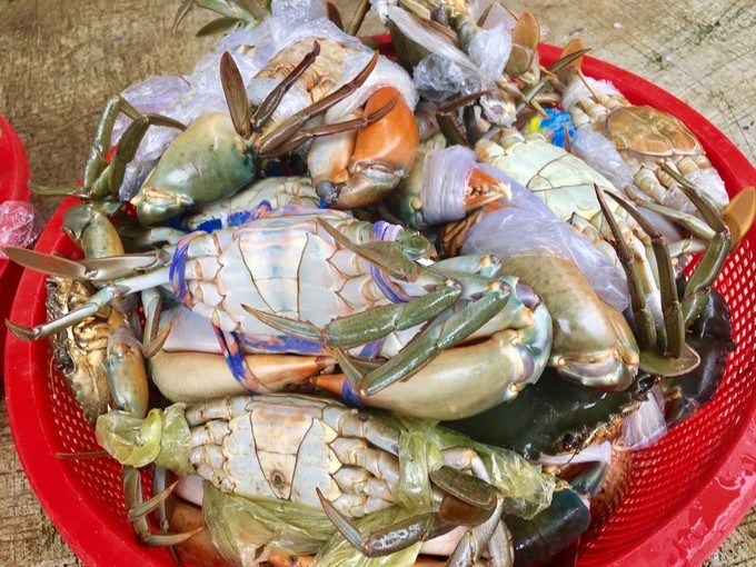 一个人越南攻略,一个人越南自驾游纪录片