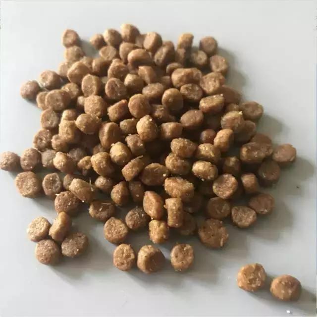 成年猫粮福摩,福摩绿猫粮