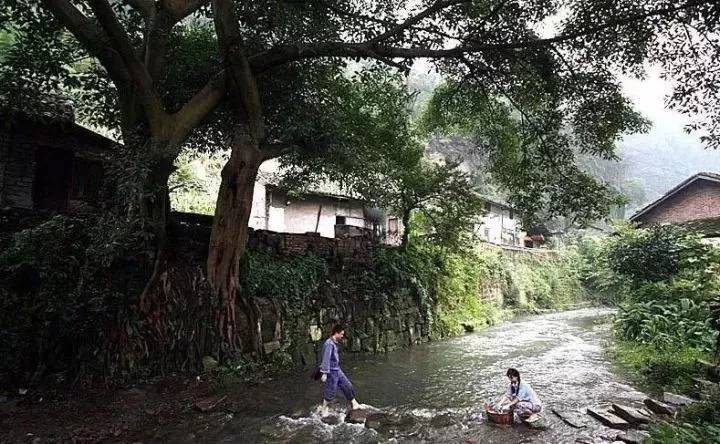 犍为县喜报,犍为近十年变化