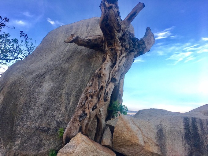 一个人越南攻略,一个人越南自驾游纪录片